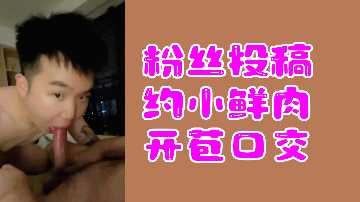 黄网黑森林免费看,白嫩丰满少妇一区二区三区